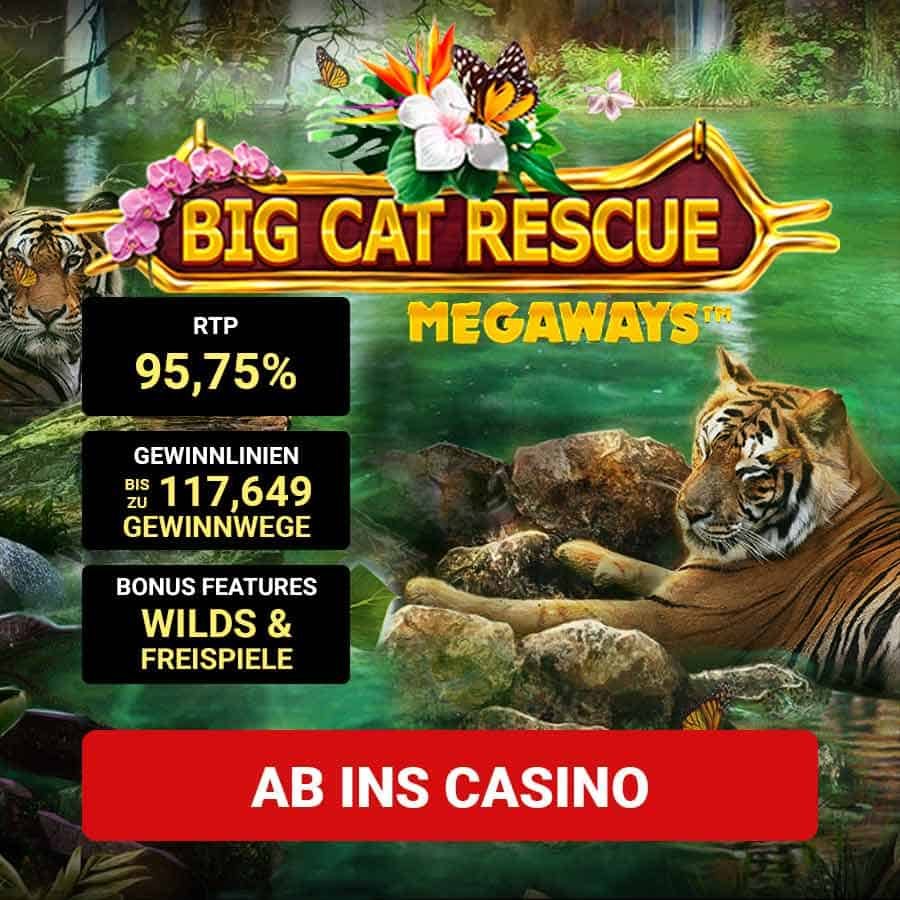 Big Cat Rescue Megaways_Bonus Offer