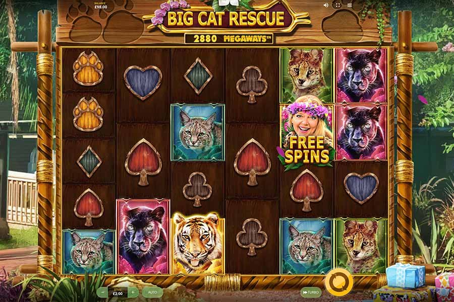 Big Cat Rescue Megaways Kostenlos spielen