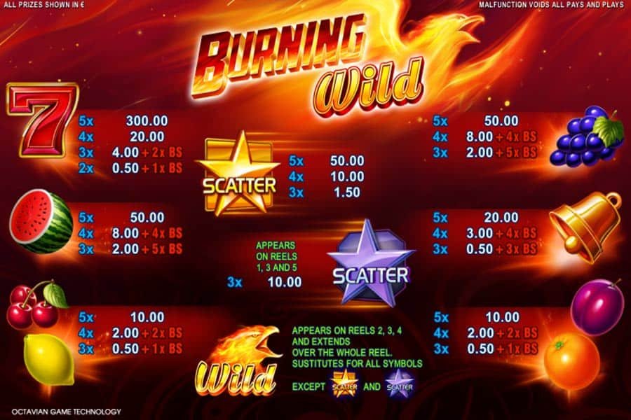 Burning Wild Slot_paytable