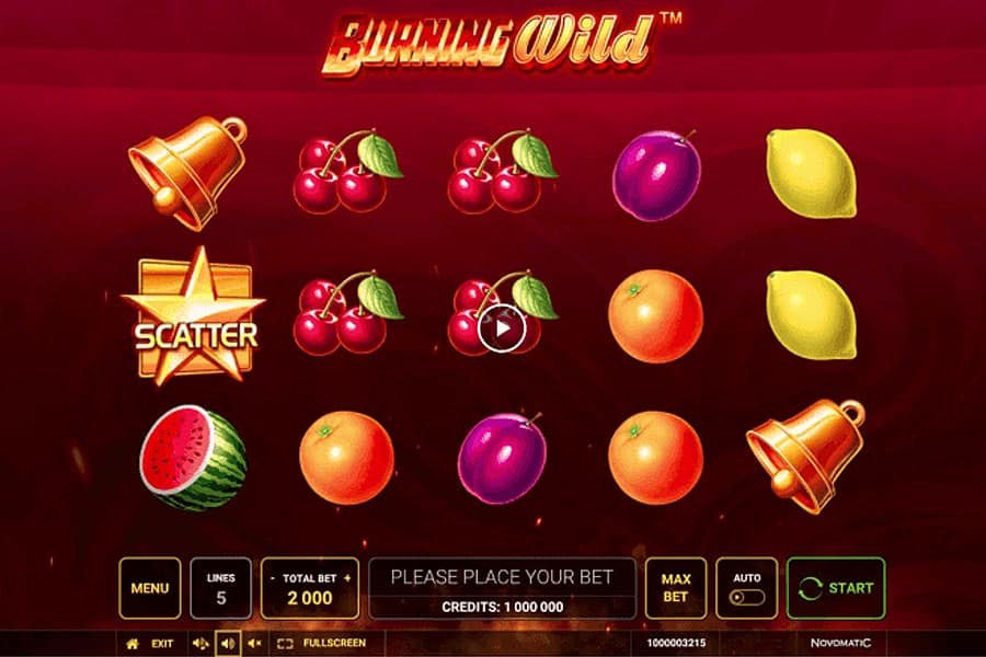 Burning Wild Kostenlos spielen